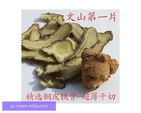 98堂全新升级：革新你的学习体验，解锁无限可能